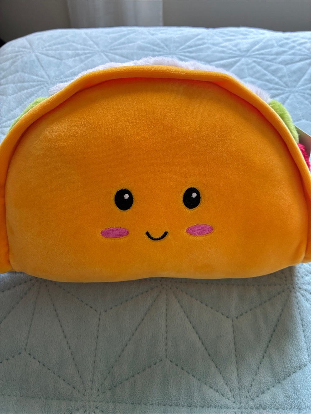 Smoochy Pals cute Plush Taco, New.